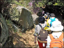 巨石群を抜けて遠見山山頂へ