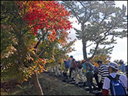 寒霞渓表登山道